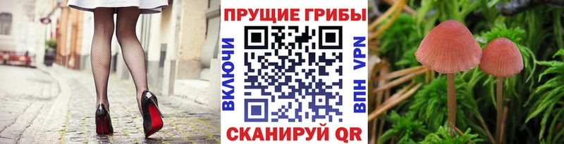 Псилоцибиновые грибы ЛСД  Кемь 