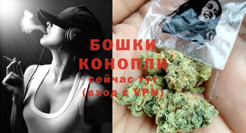 дарнет шоп  Кемь  Канабис OG Kush 