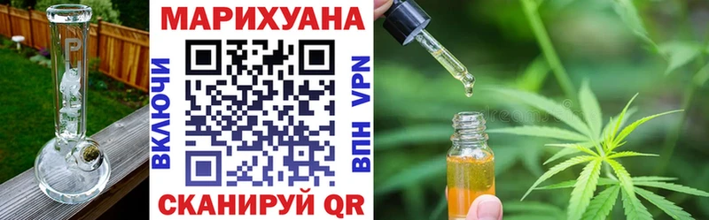 Конопля гибрид  Кемь 